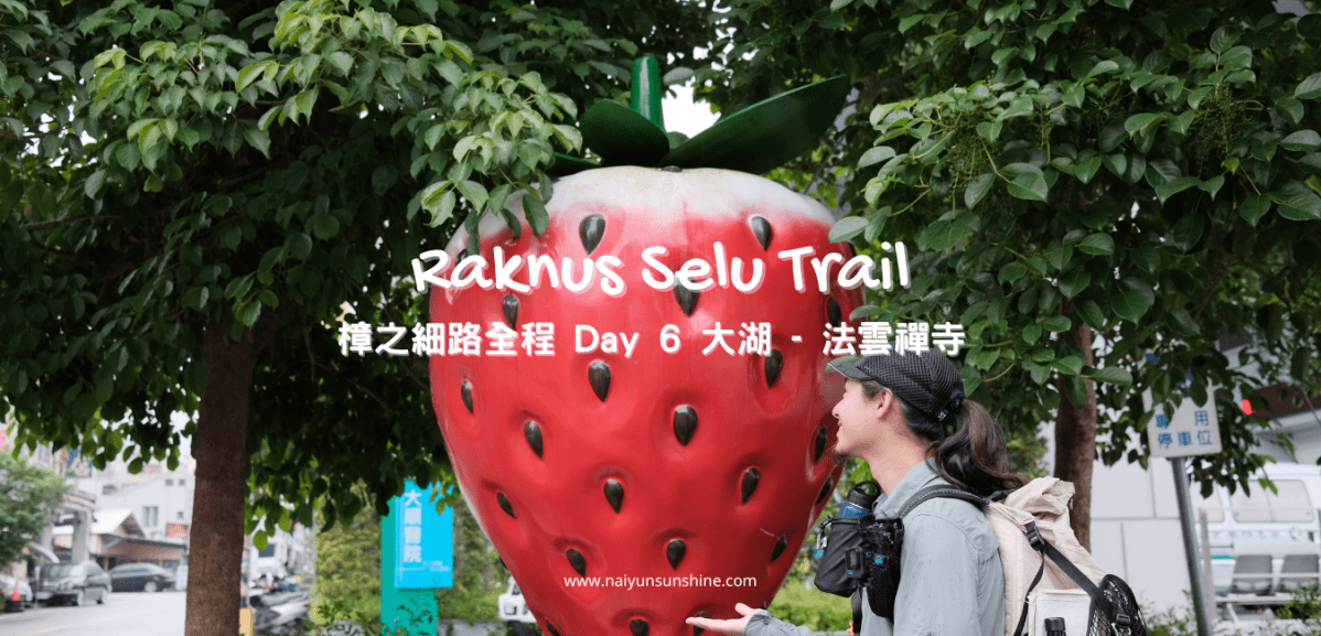 [ 健行 ] 樟之細路全程 Day 6 大湖 –&nbsp;法雲禪寺